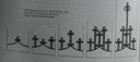 1902 rank