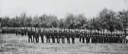 Volunteers