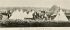 Field Hospital